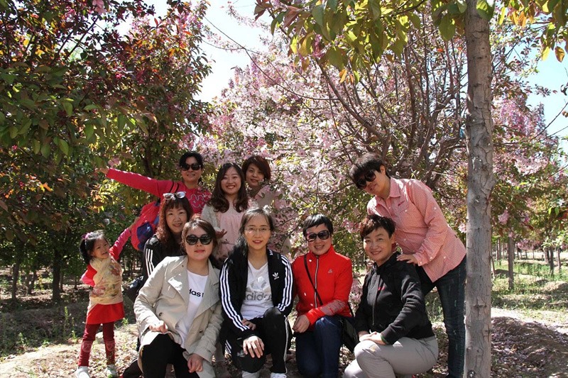 1528086630120755.jpg 新建文件夾 (3)mmexport1524962506197_副本.jpg